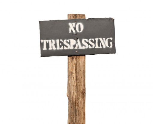 What is Trespass to Land?